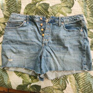 Stretchy Jean Shorts